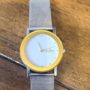 Skagen Silver and Gold Watch